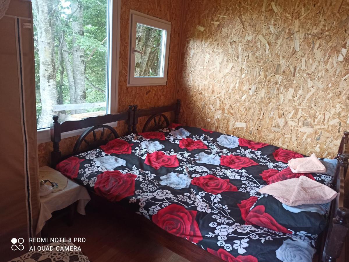 Katun Ljeljenak Hotel Plužine Exterior foto
