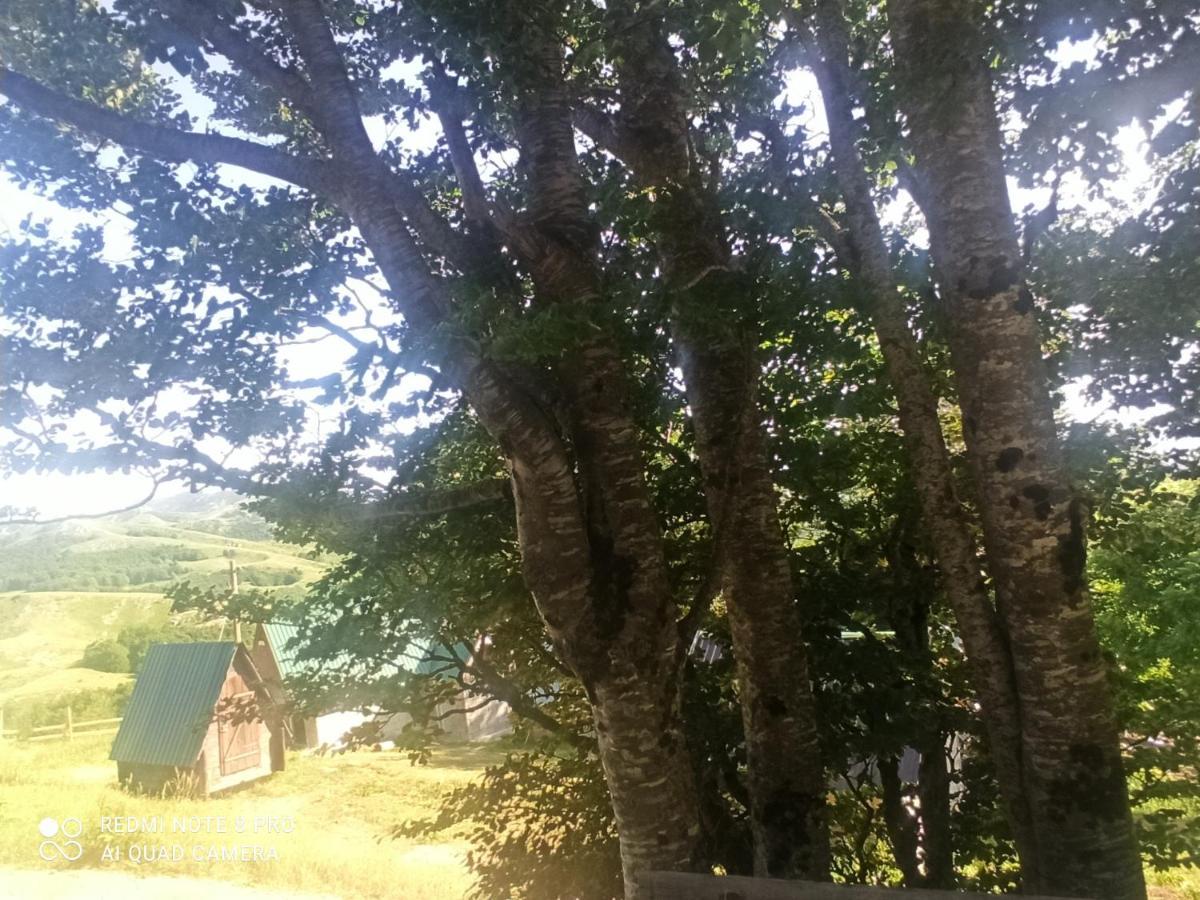 Katun Ljeljenak Hotel Plužine Exterior foto